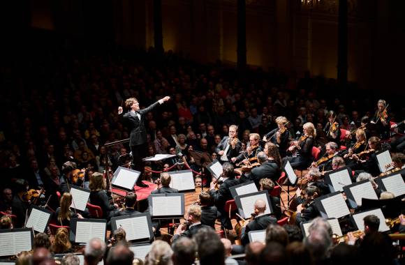 Partituren en partijen: zo vinden musici hun weg