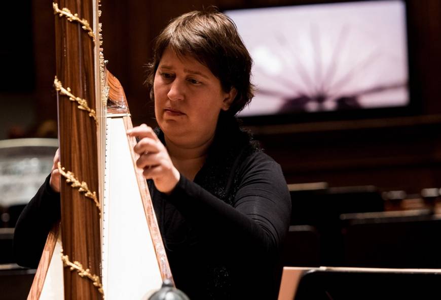 Close-up: De harp centraal