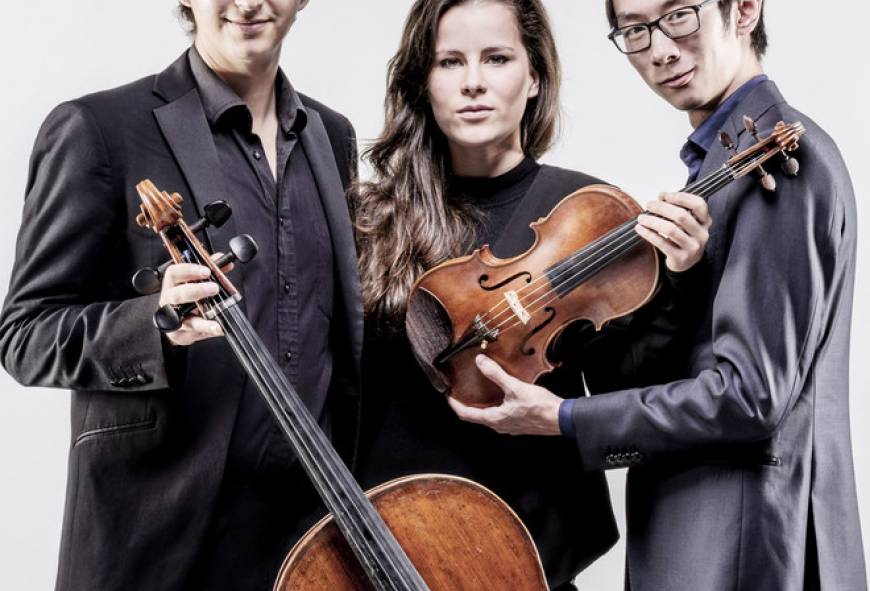 Jonge Nederlanders: Amatis Pianotrio