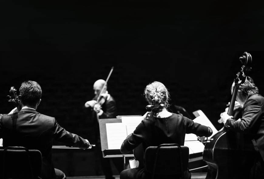 Zondagmiddagconcert: Schuberts Strijkkwintet