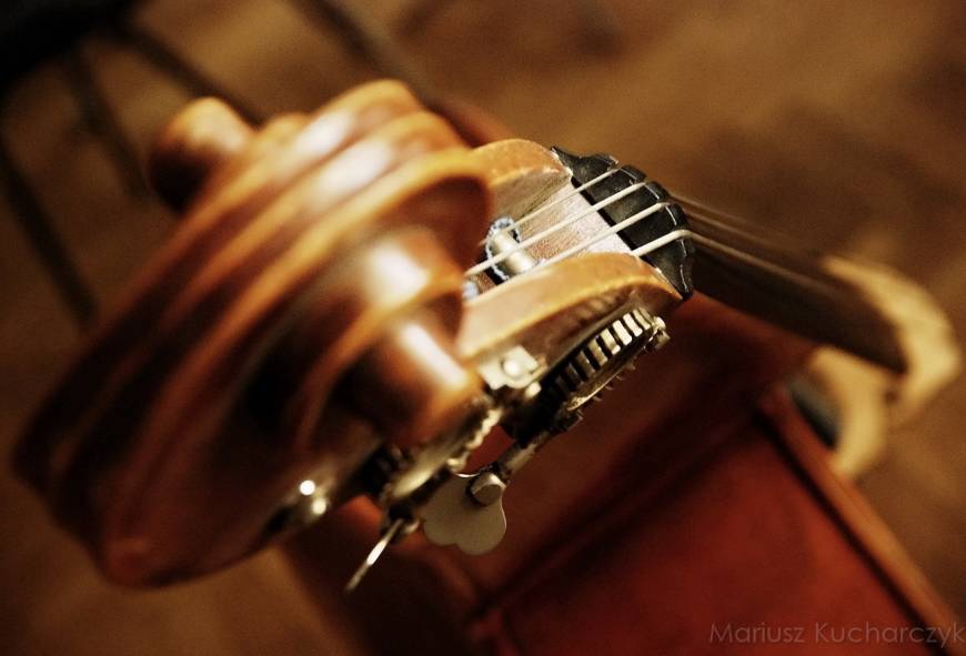 Close-up familieconcert 'in Kip Majeur' (kleurplaat)