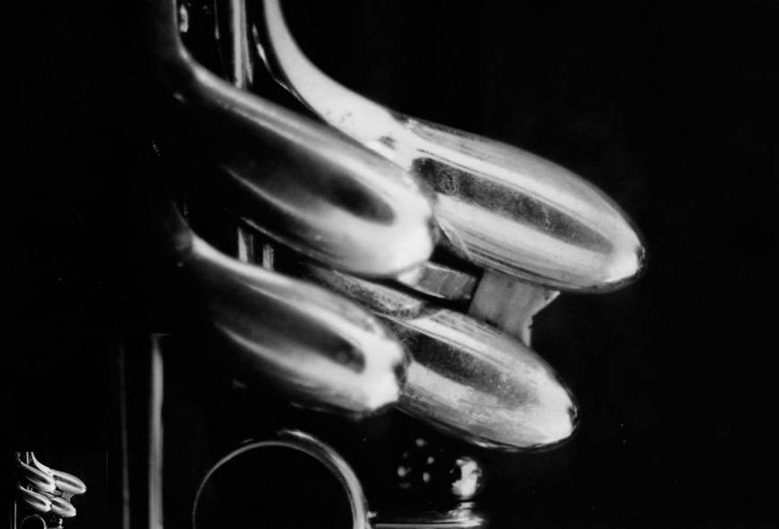 Close-up: familieportret van de klarinet