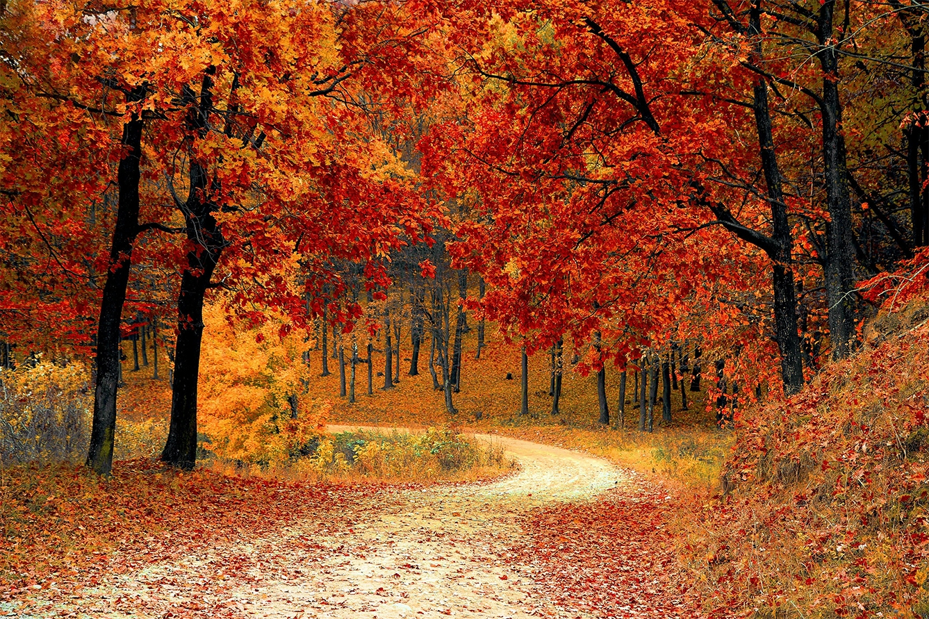 7 luistertips voor de herfst