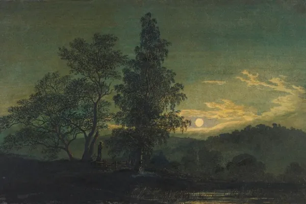Maanverlicht landschap