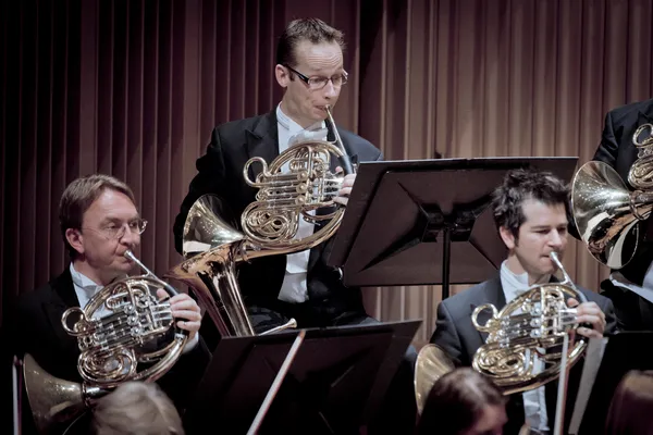 Hoornsectie van de philharmonie zuidnederland